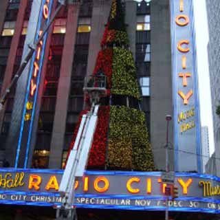Orlando Theme Park Castle