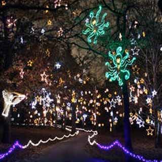 Memphis Starry Nights