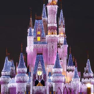Orlando Theme Park Castle