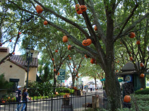 Orlando Theme Park Pumpkins